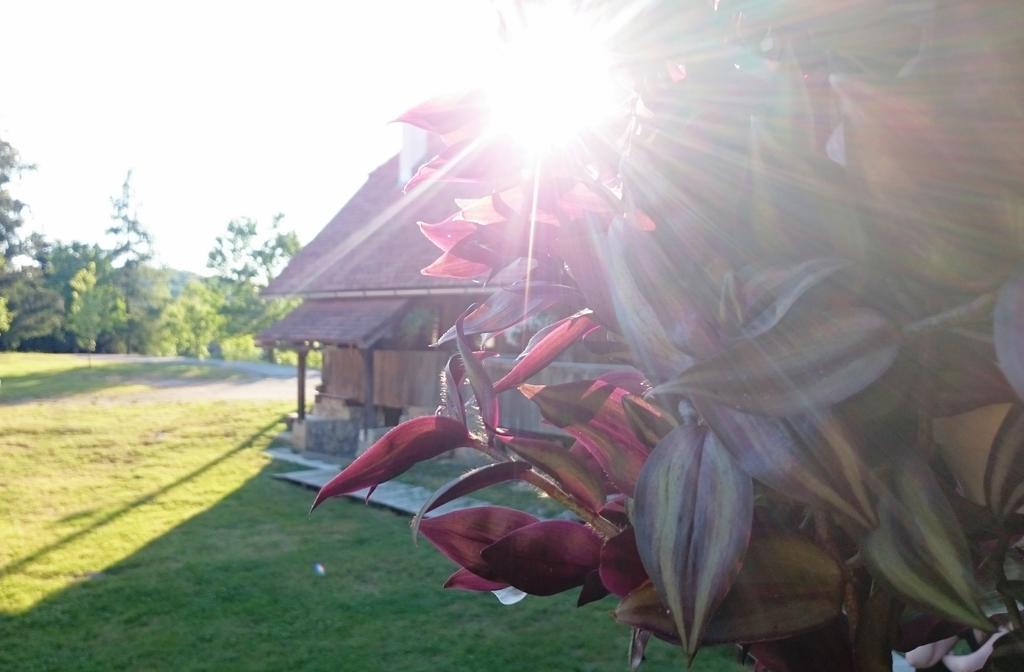 Rustic Home Mia Duga Resa Δωμάτιο φωτογραφία